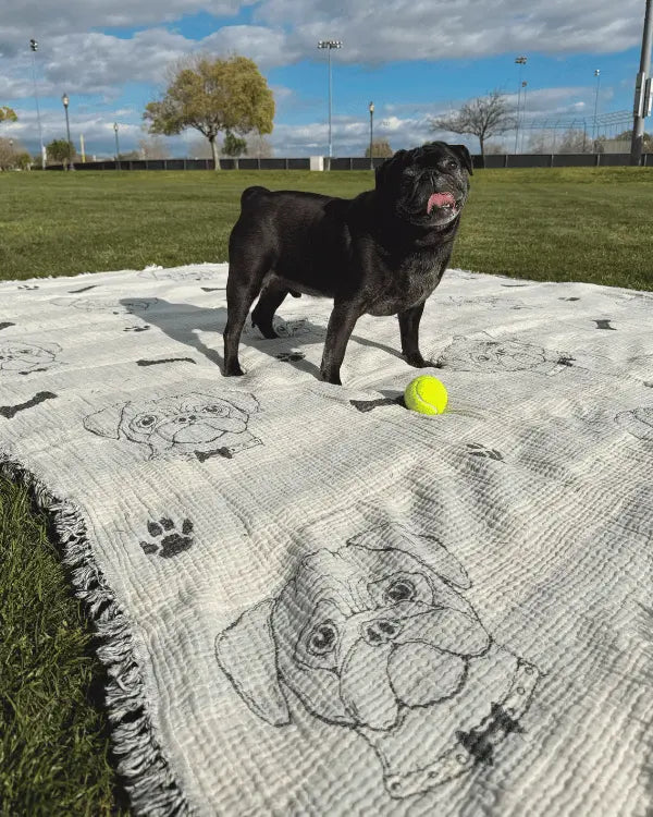 Sand Cloud | Party Blanket