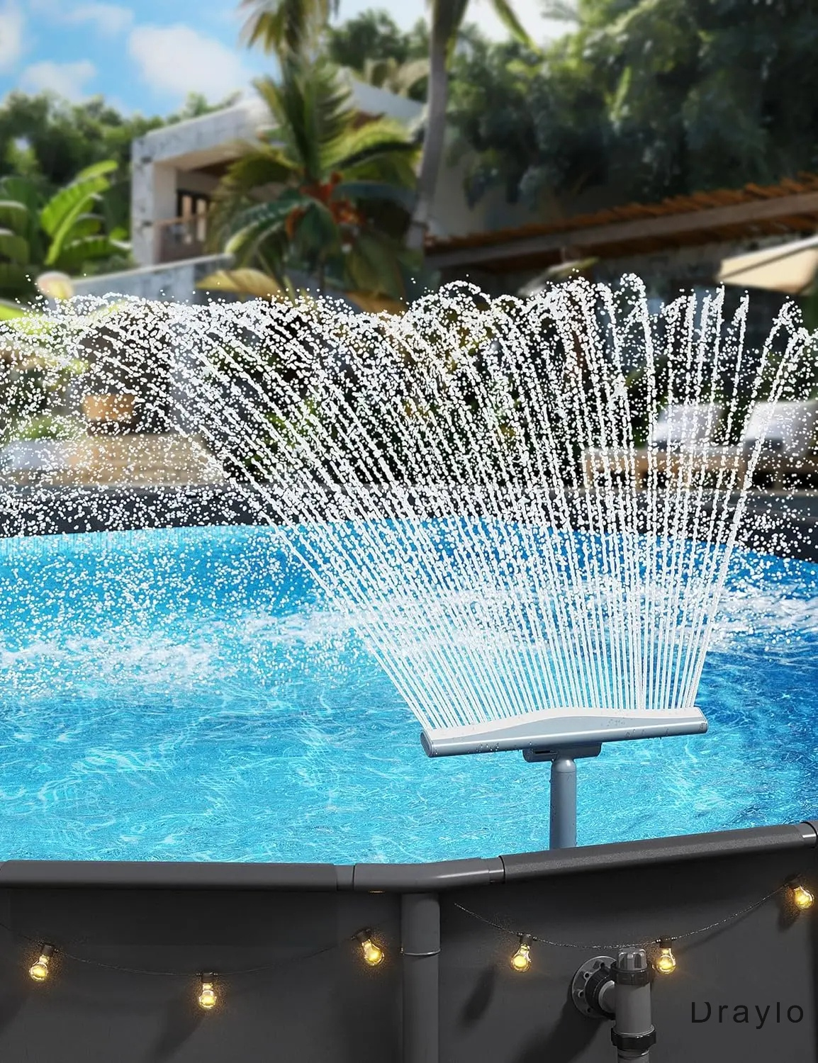 Whale Tail Water Canopy